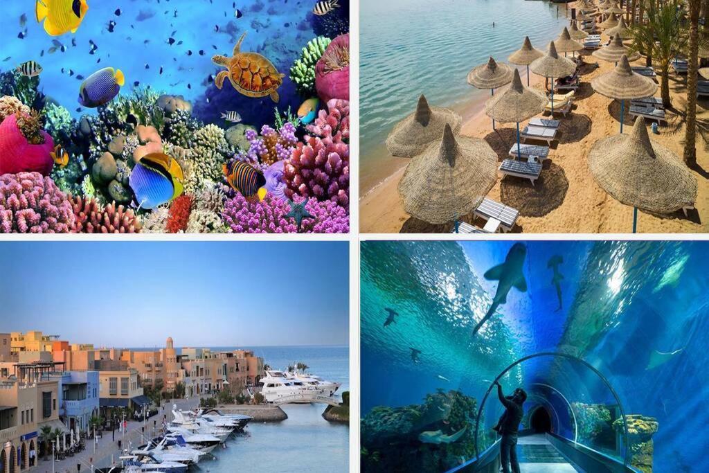 201Sheraton Plaza Hurghada Ngoại thất bức ảnh