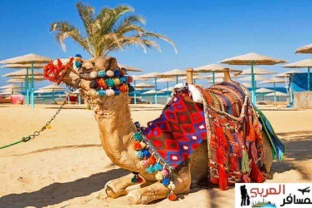 201Sheraton Plaza Hurghada Ngoại thất bức ảnh